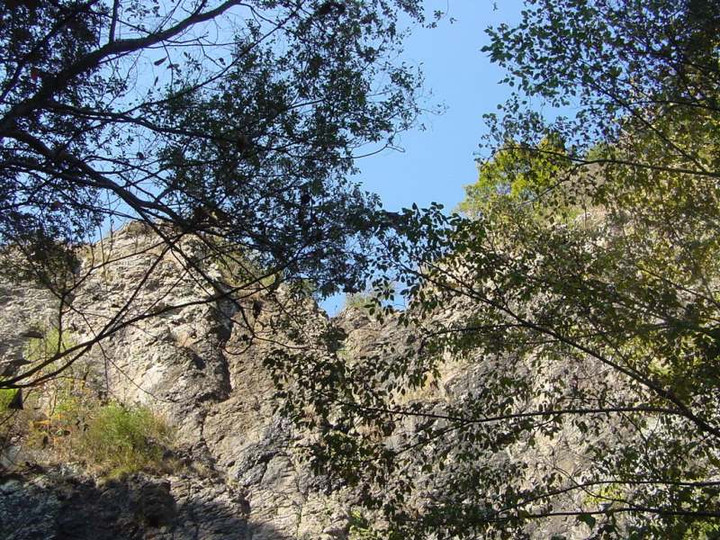 Dsc00636