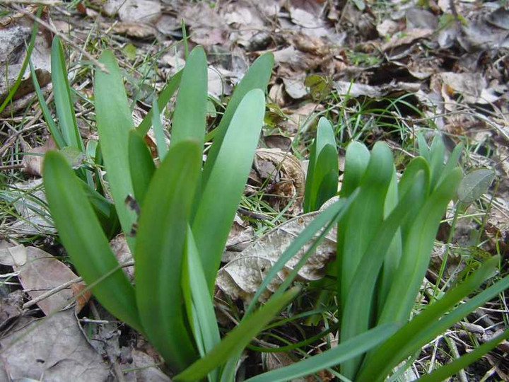 Dsc00638_2