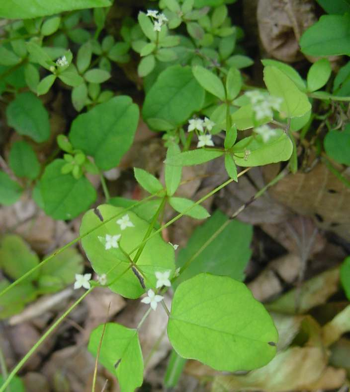 Dsc00649_2