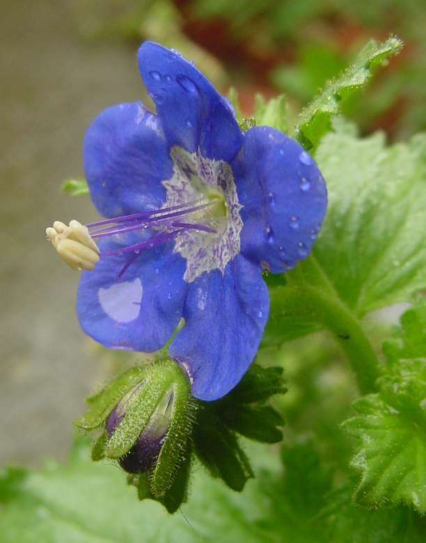 Dsc00659_1