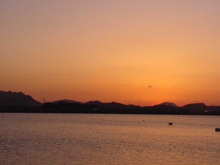 Dsc00663_4