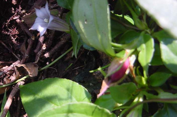 Dsc00672_1