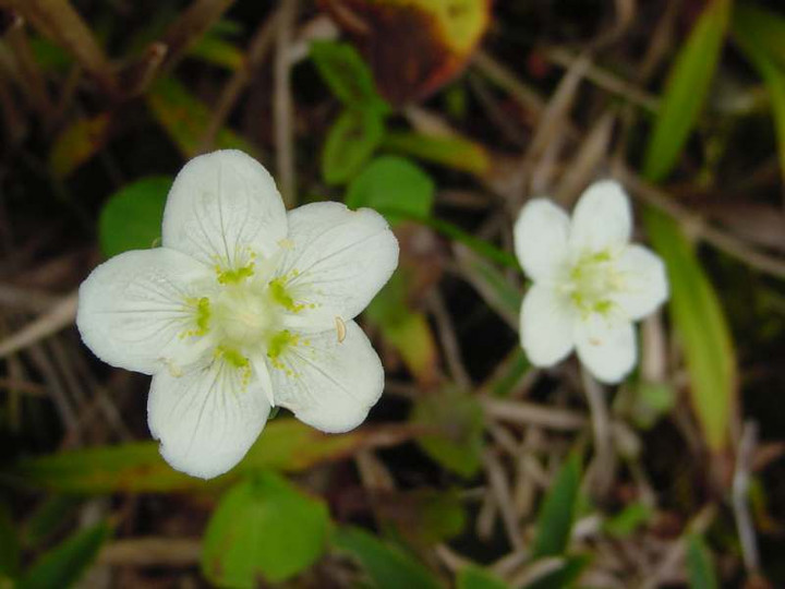 Dsc00673