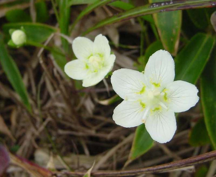 Dsc00675_2