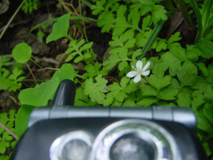 Dsc00680