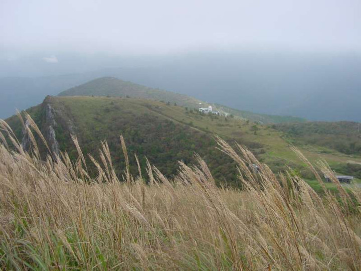 Dsc00680_1