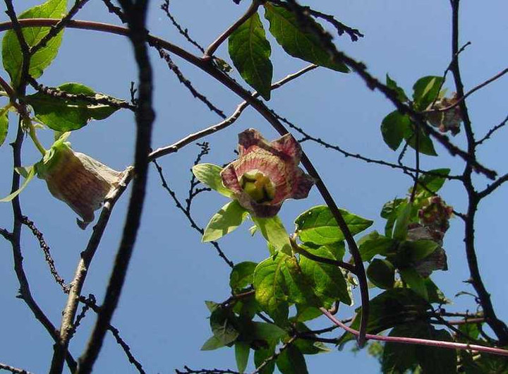 Dsc00696_2