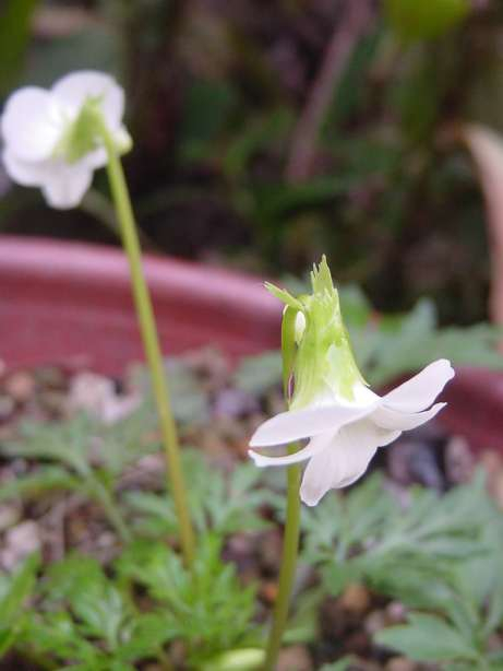 Dsc00699_2