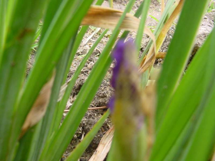 Dsc00704