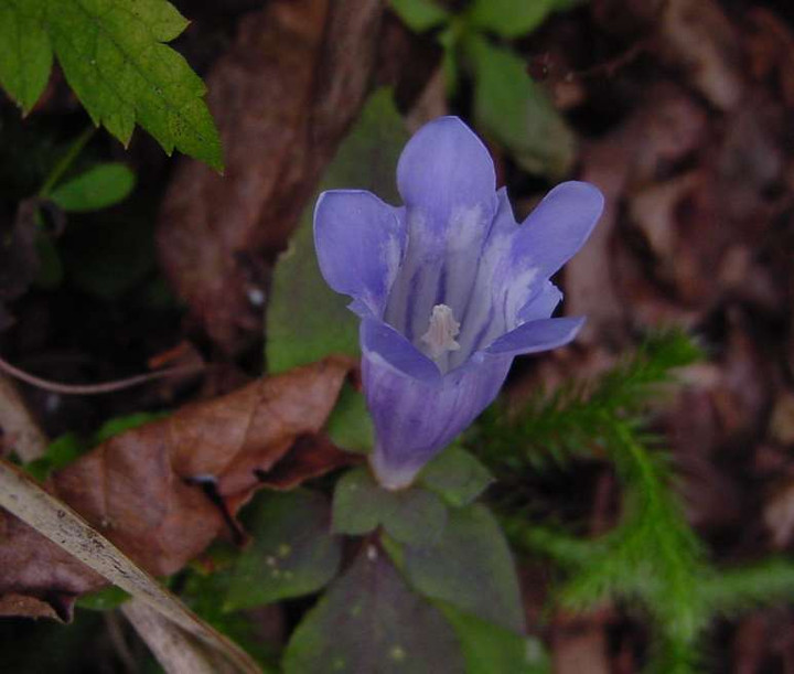 Dsc00704_2