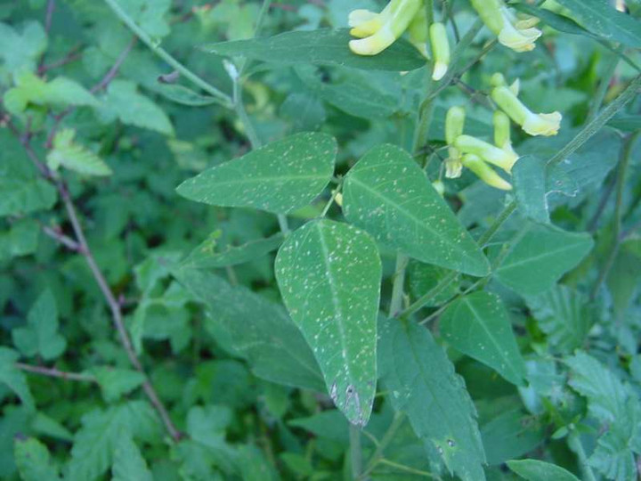Dsc00705_2