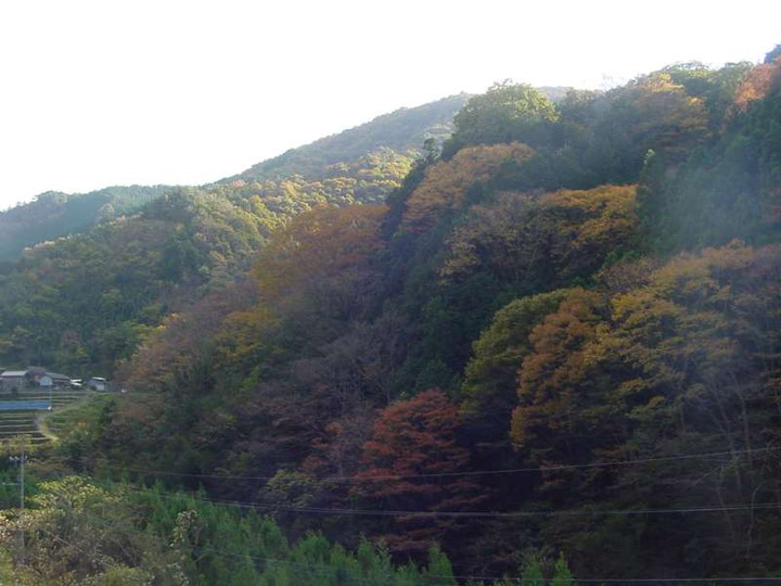 Dsc00735_2