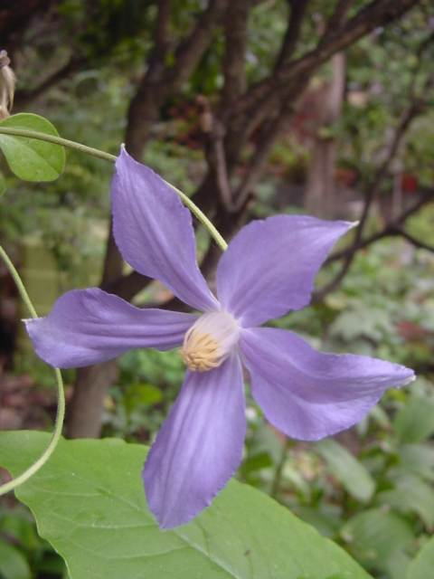 dsc00735