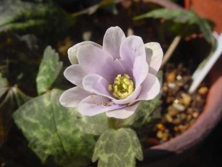 Dsc00751_1