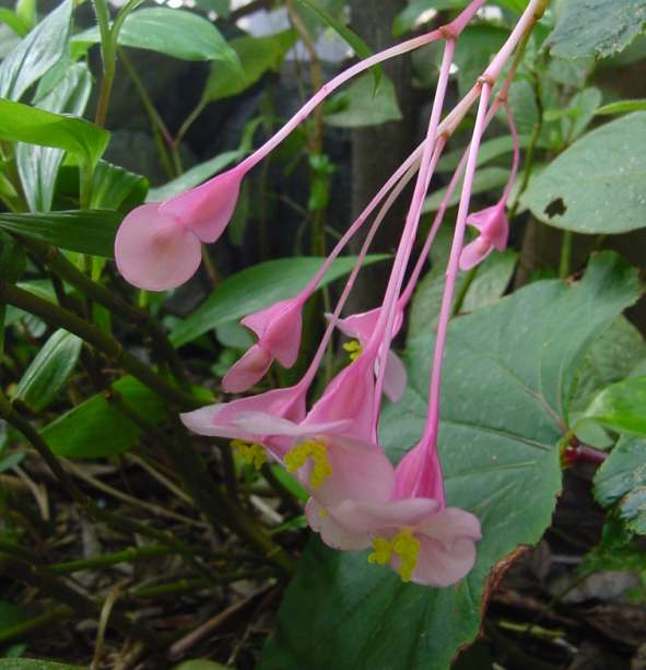 Dsc00751_2