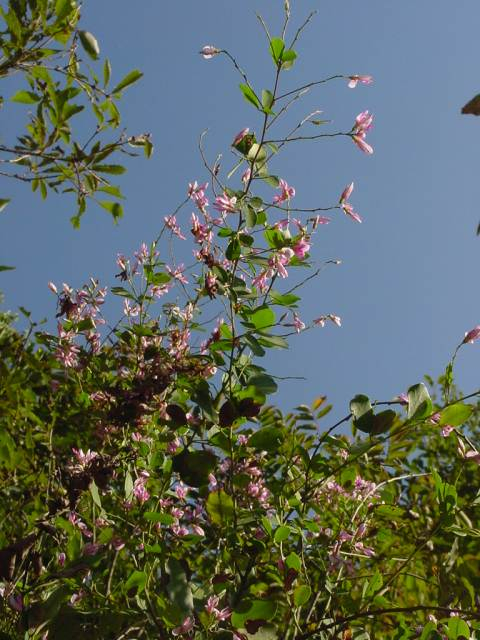 Dsc00756
