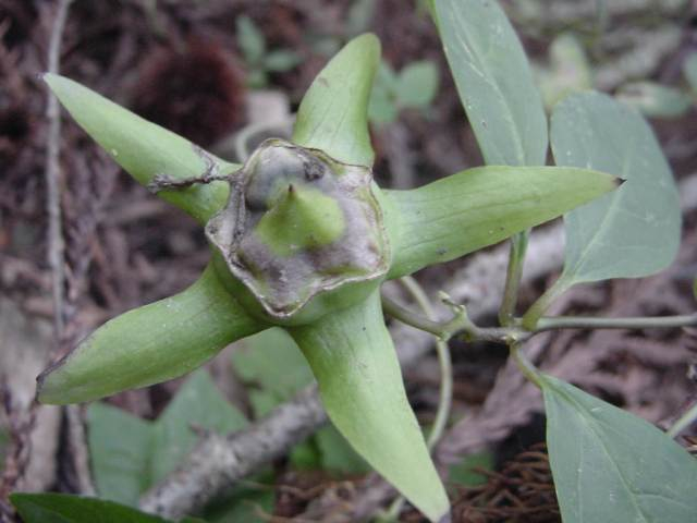 Dsc00756_1