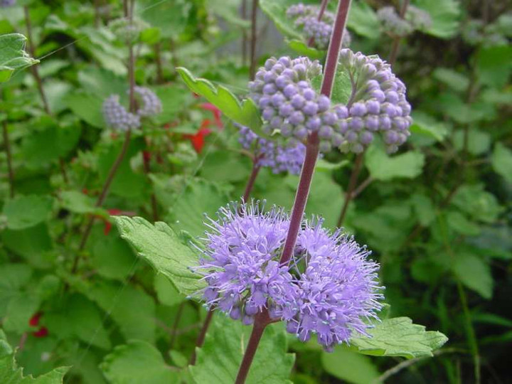 Dsc00760_2