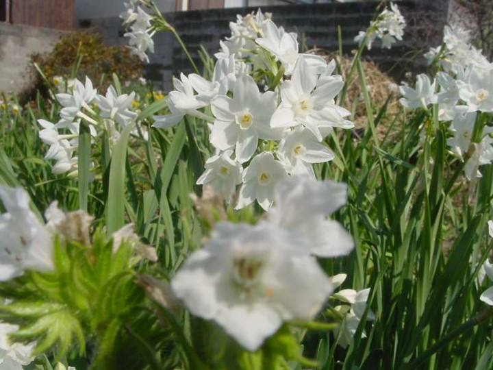 dsc00766