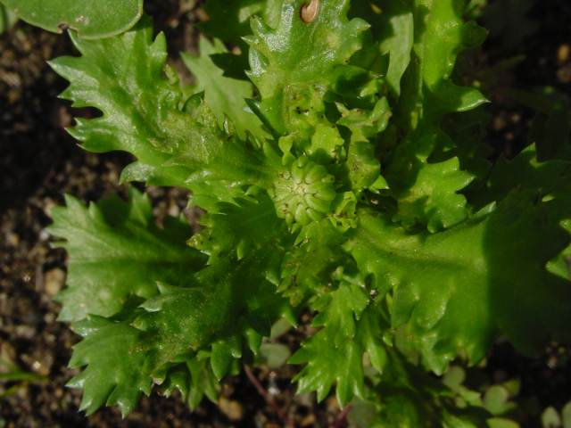 Dsc00768_2