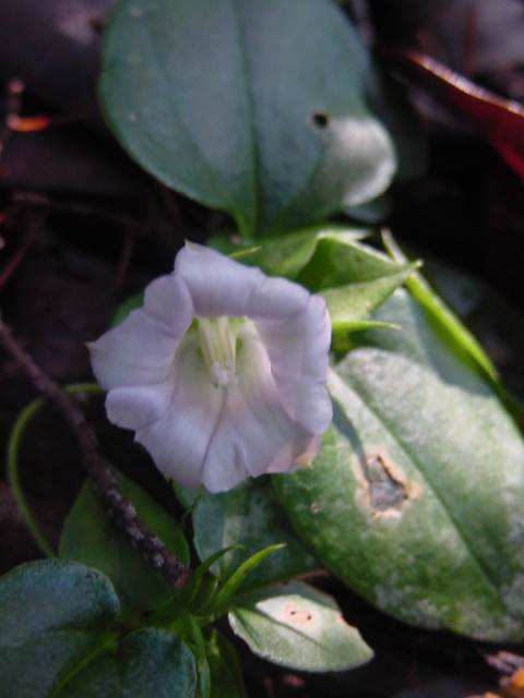 dsc00770
