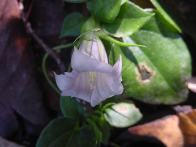 Dsc00771_2