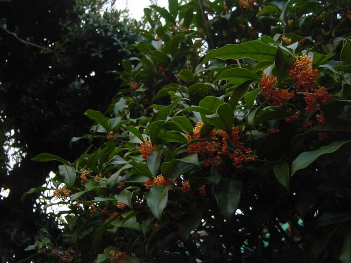 Dsc00773_1