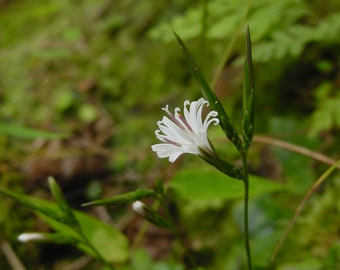 Dsc00783_1