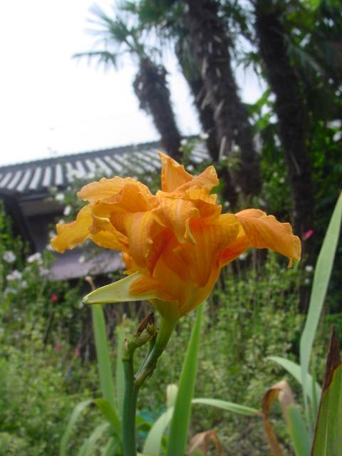 dsc00793
