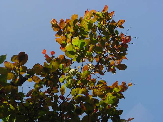 dsc00801