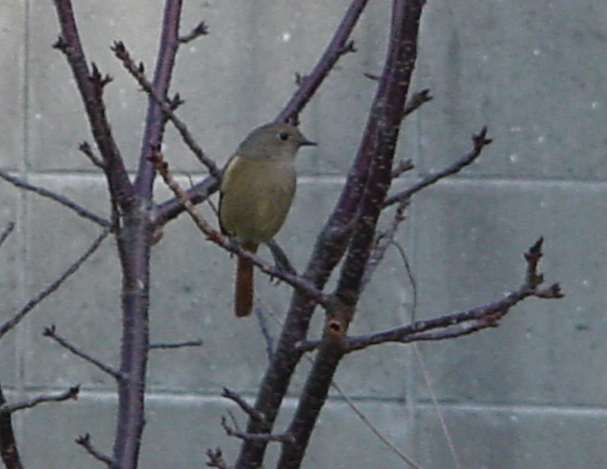 Dsc00804_3