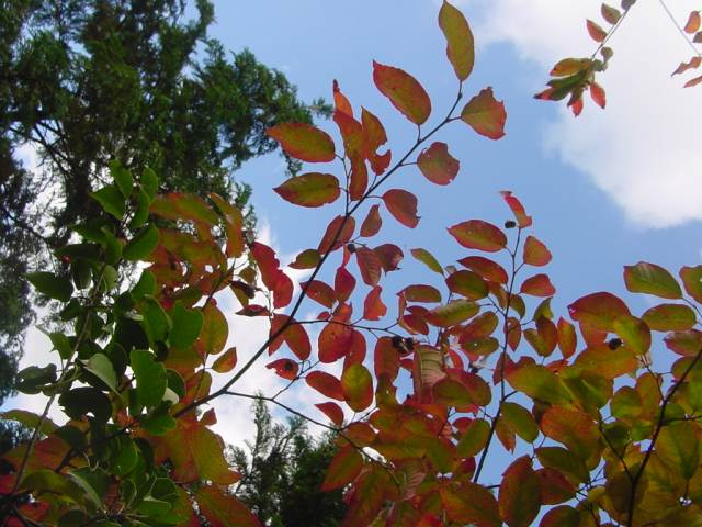 Dsc00807_1