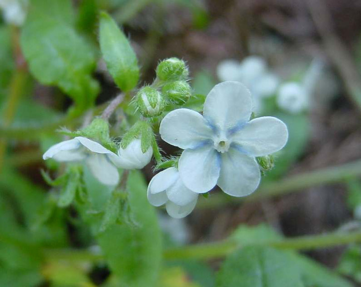 Dsc00812_2