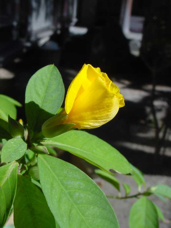 Dsc00826_5