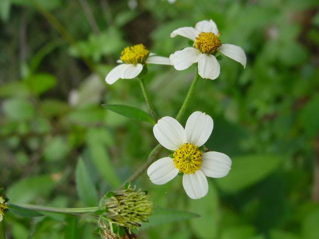 Dsc00835_1