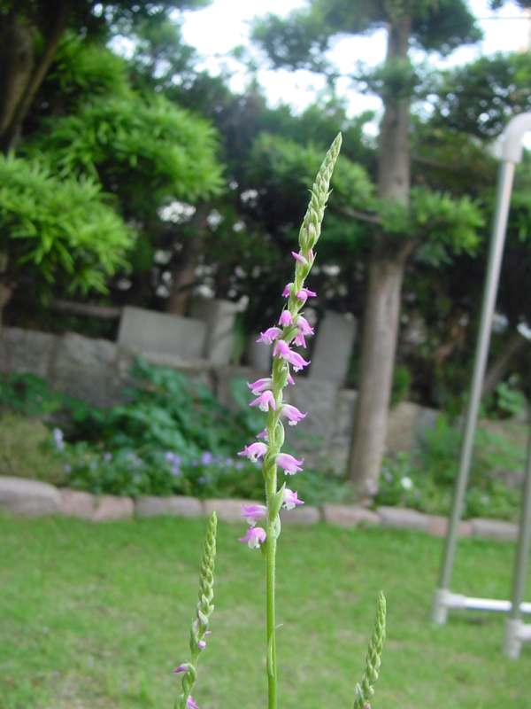 Dsc00848_2