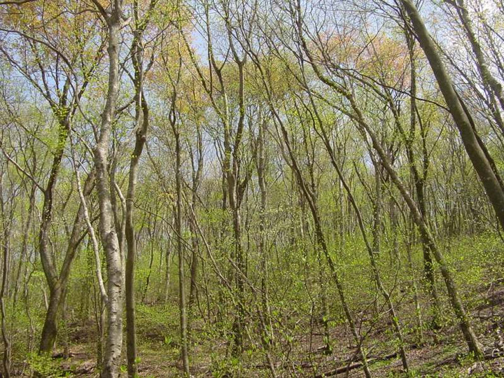 Dsc00850_2