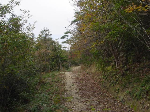 Dsc00868_1