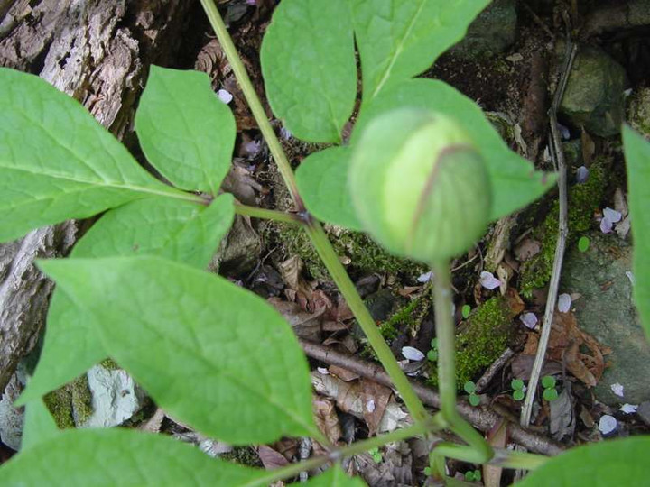 Dsc00869_1