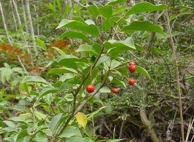 Dsc00872_1