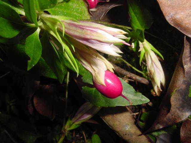 Dsc00879_1