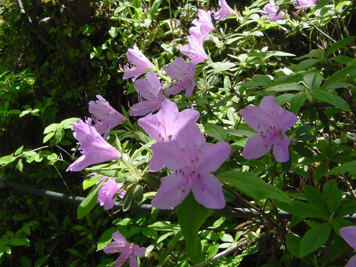 dsc00880