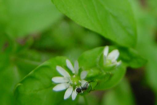 Dsc00882_2
