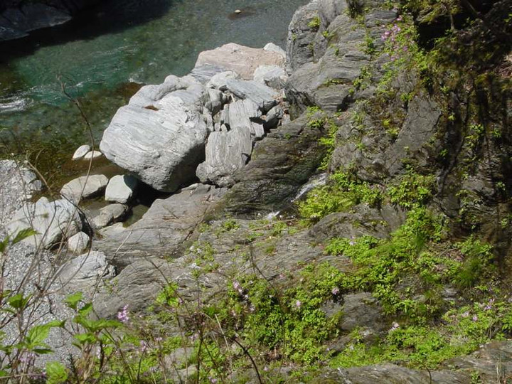 Dsc00882_5