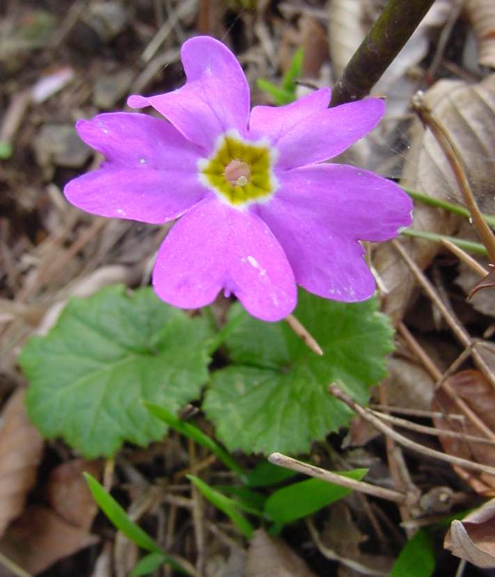 Dsc00884_1