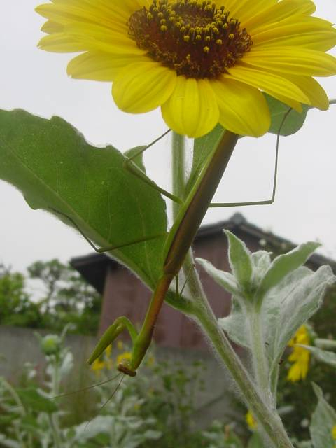 dsc00886