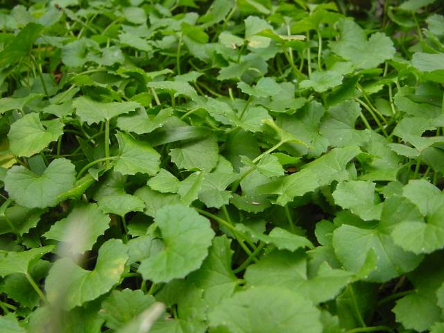Dsc00889