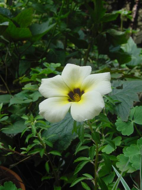 dsc00892