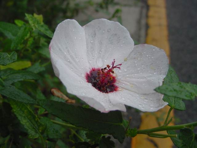 dsc00893