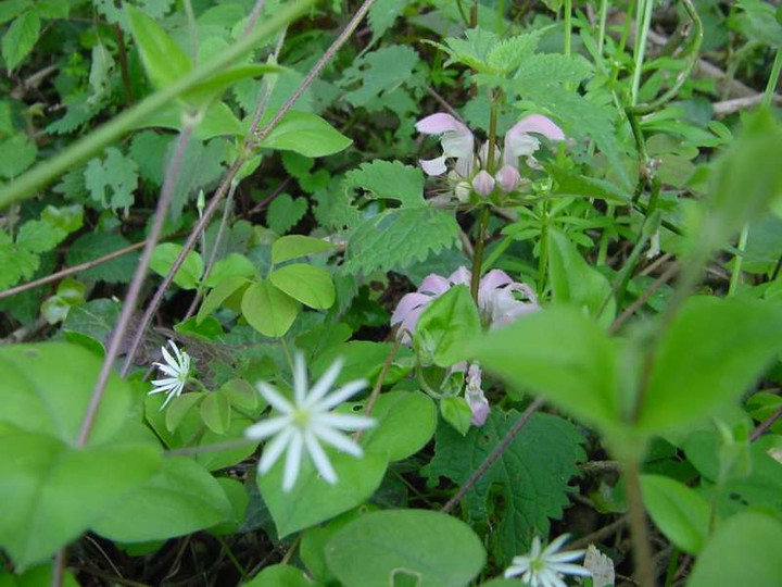 dsc00899